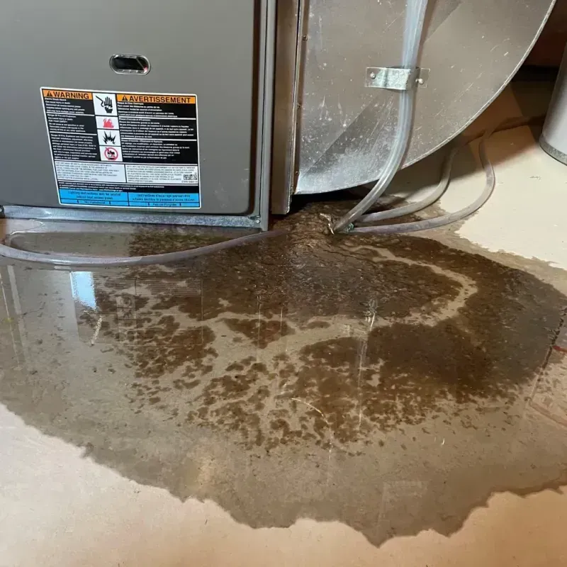 Appliance Leak Cleanup in Kearney County, NE